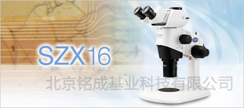 SZX16体视显微镜SZX16-6156   SZX16体视显微镜SZX16-6156价格参数